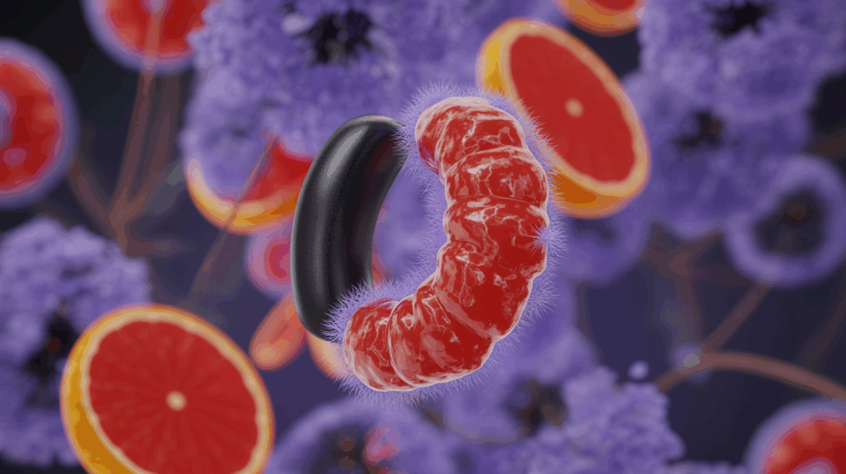 Unlock the secret power of selenium: the antioxidant enzyme revolution you can’t ignore! – selenium